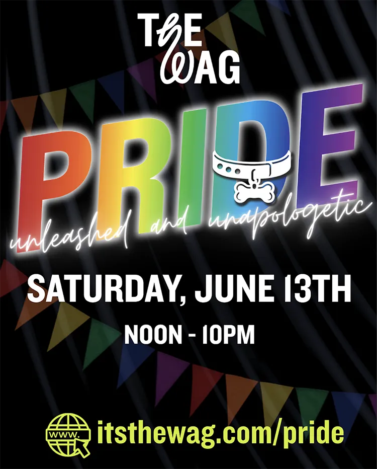 The Wag Bar 1st Annual Pride Festival